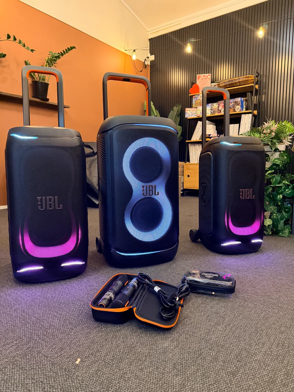 Portable speakers with microphones and their carrying cases